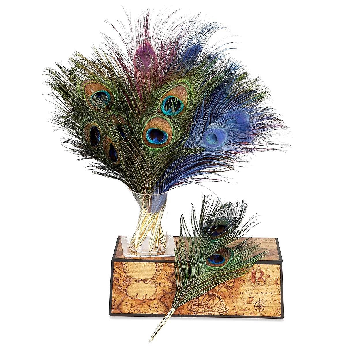 Genuine Peacock Quill Pen-Nib and Ballpoint-Bulk