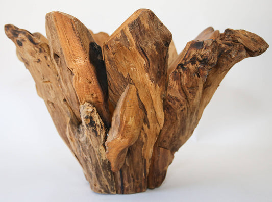 18" Teak Tulip Bowl – Handcrafted Natural Wood Vessel