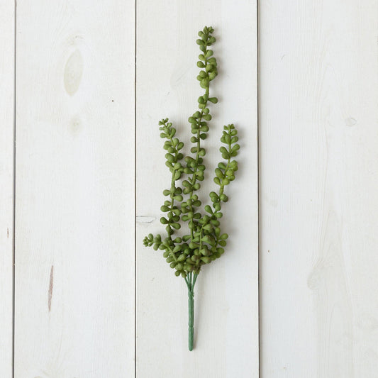 Pick - String of Pearls