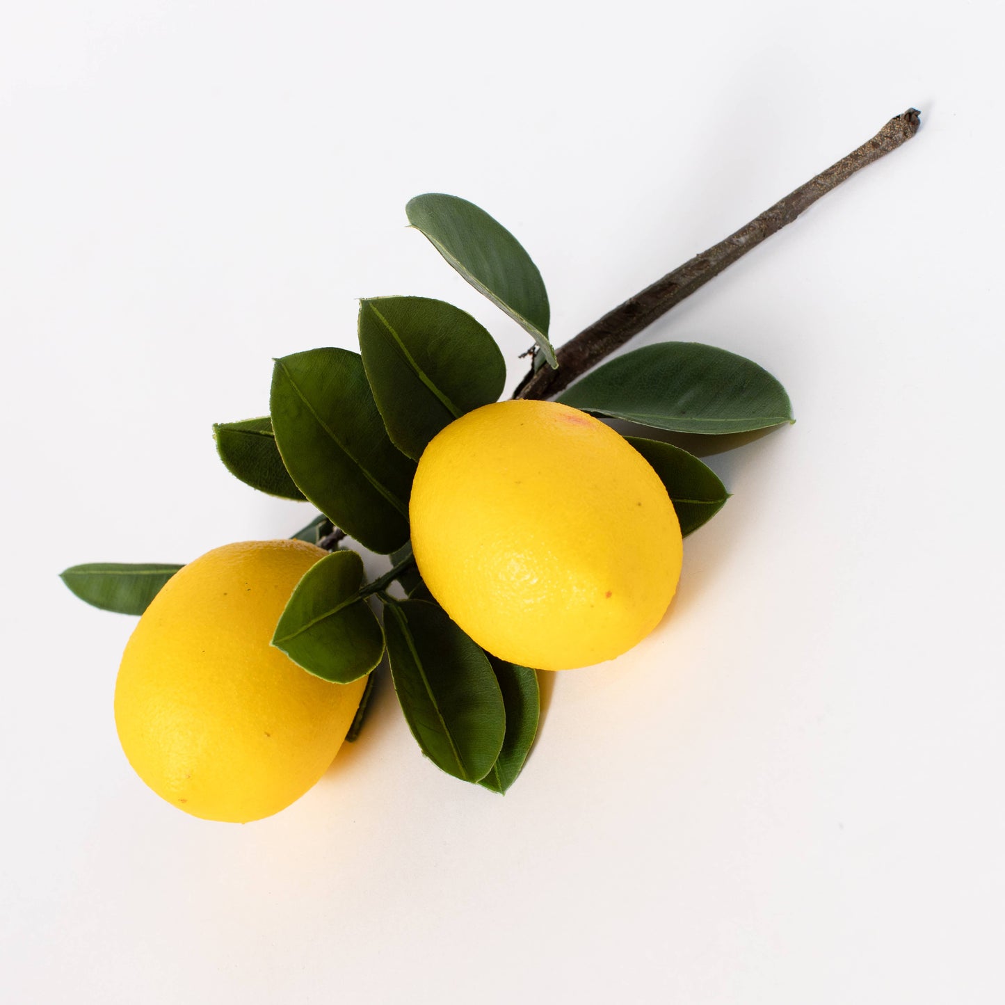 Pick - Lemon With Leaves
